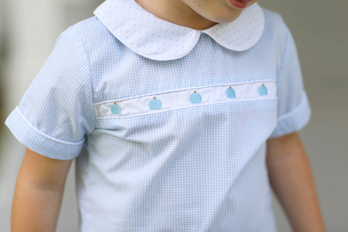 Blue Pumpkin Embroidered Blue Gingham Short Set