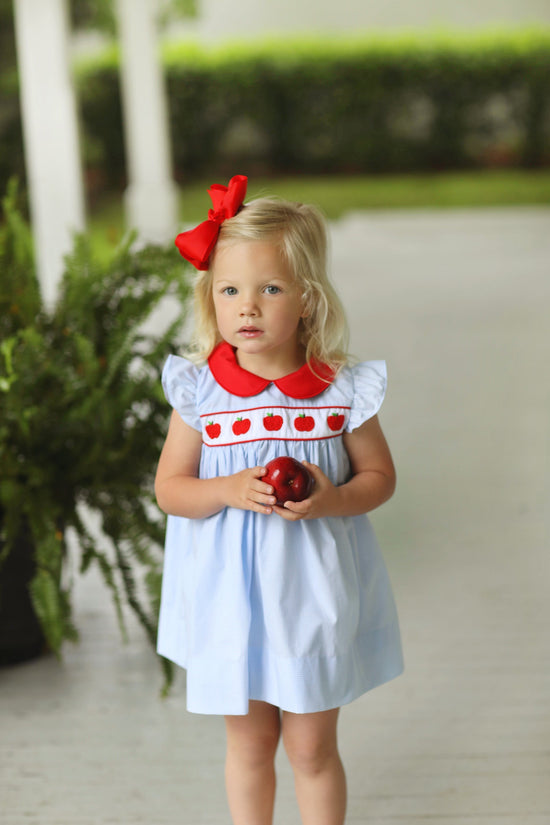 Apple Embroidered Blue Gingham Angel Wing Dress