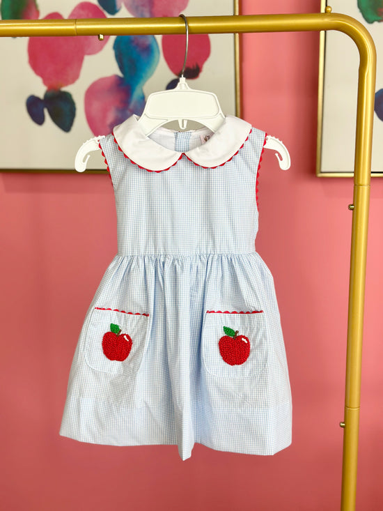 Apple French Knot Blue Gingham Tie Back Dress
