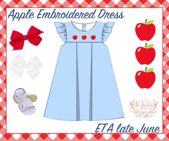 Apple Embroidered Blue Angel Wing Dress