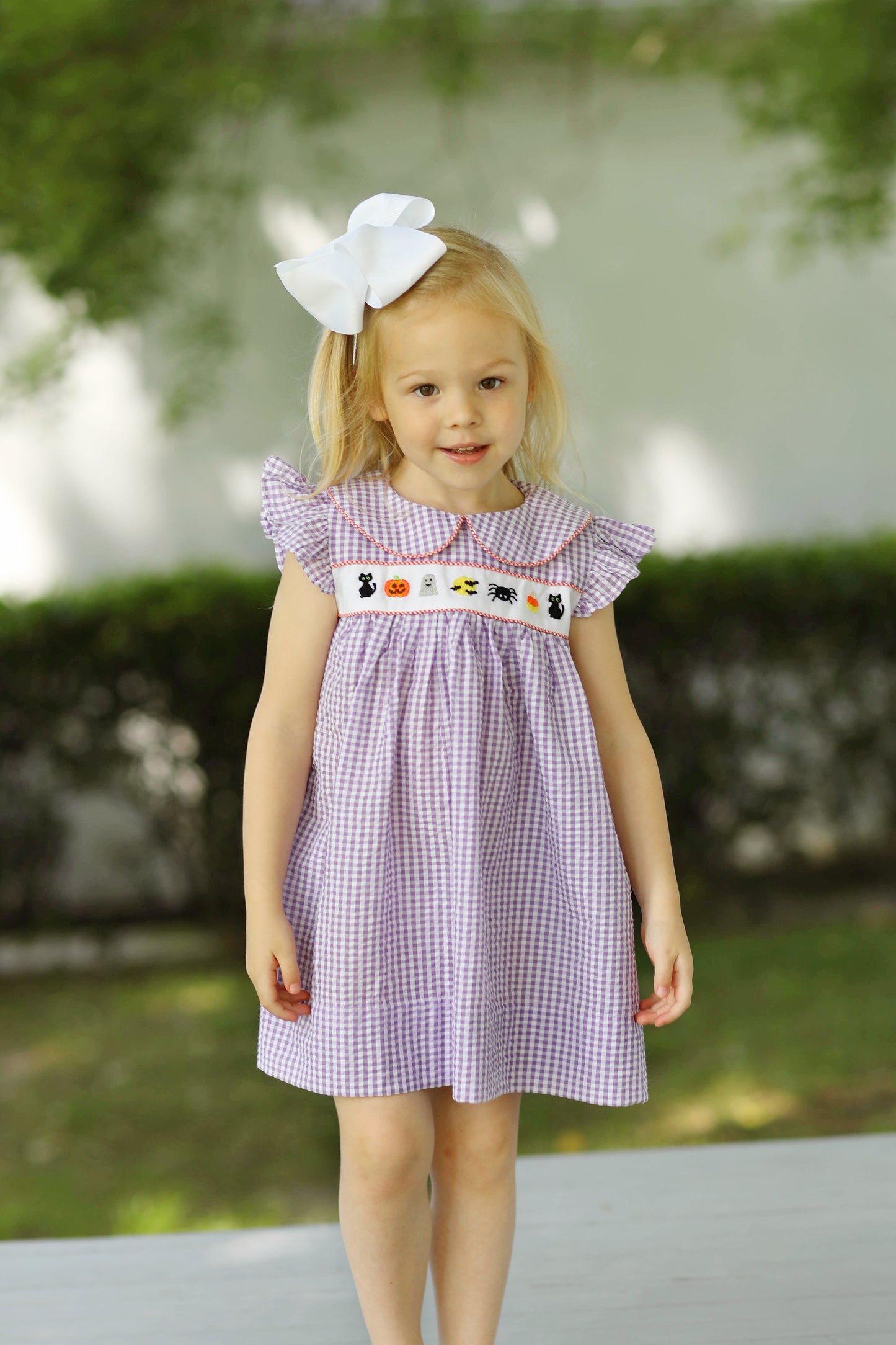 Load image into Gallery viewer, Halloween Embroidered Purple Gingham Angel Wing Dress

