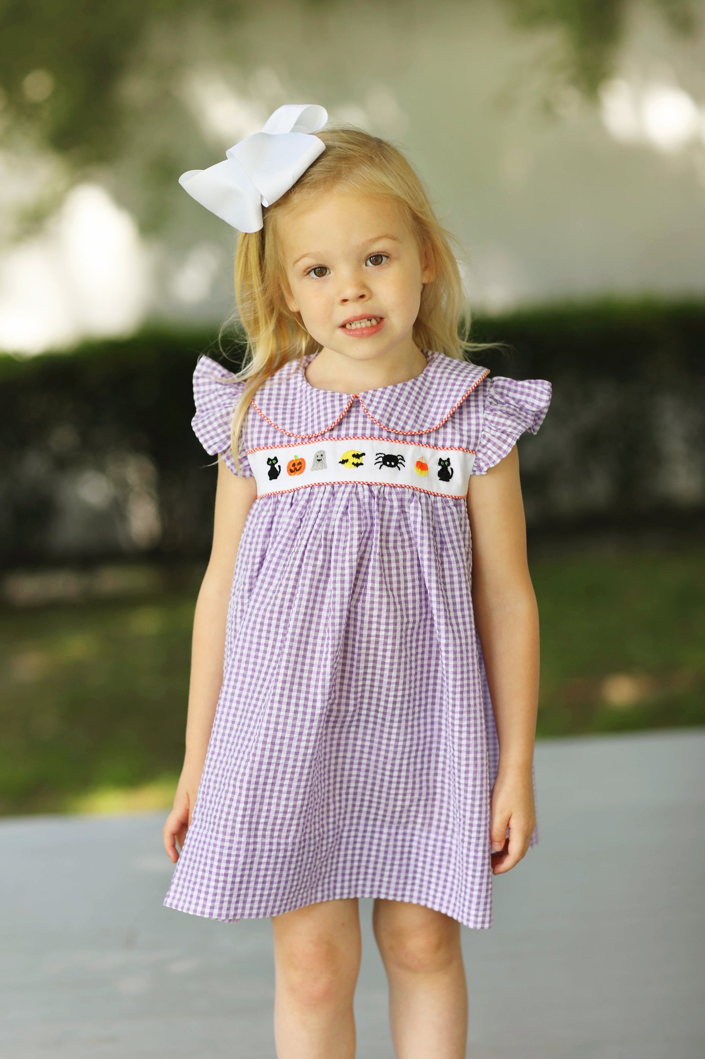 Load image into Gallery viewer, Halloween Embroidered Purple Gingham Angel Wing Dress
